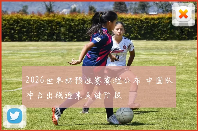 2026世界杯预选赛赛程公布 中国队冲击出线迎来关键阶段