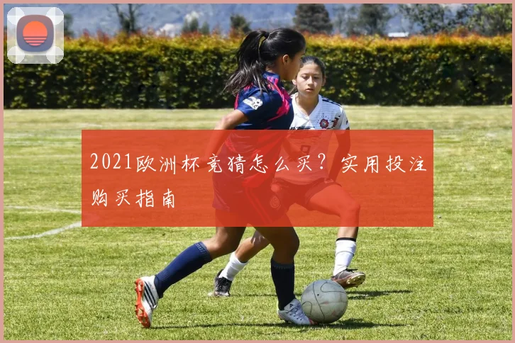 2021欧洲杯竞猜怎么买?实用投注购买指南