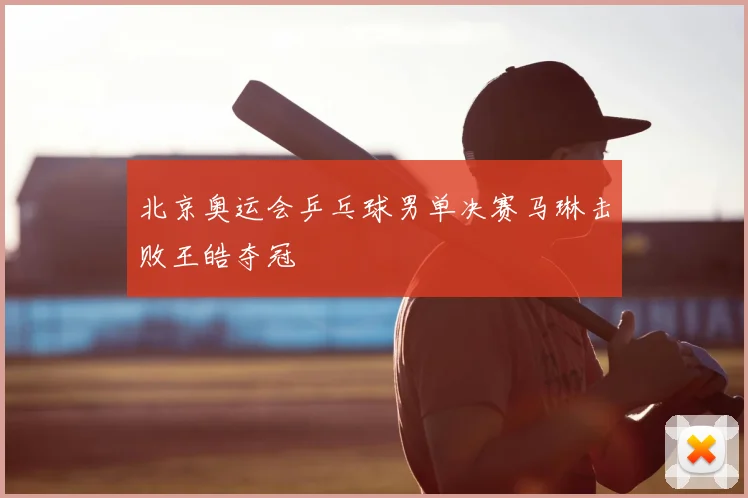 北京奥运会乒乓球男单决赛马琳击败王皓夺冠