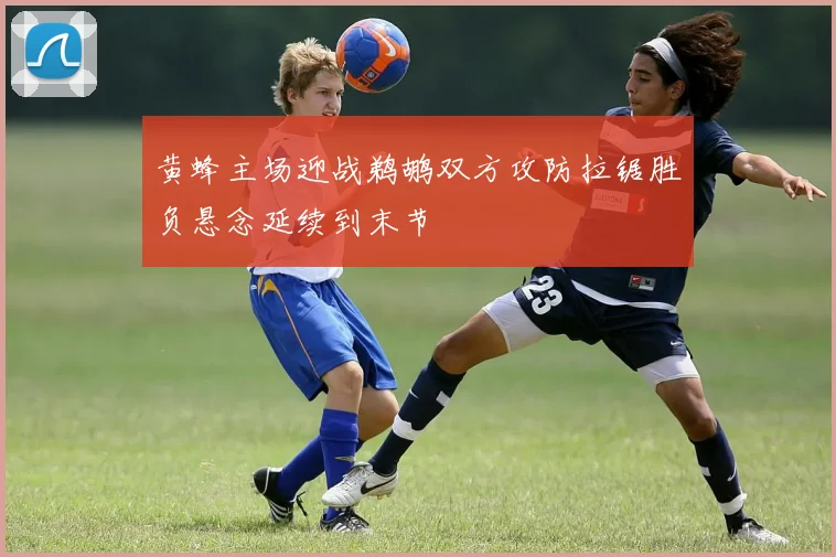 黄蜂主场迎战鹈鹕双方攻防拉锯胜负悬念延续到末节